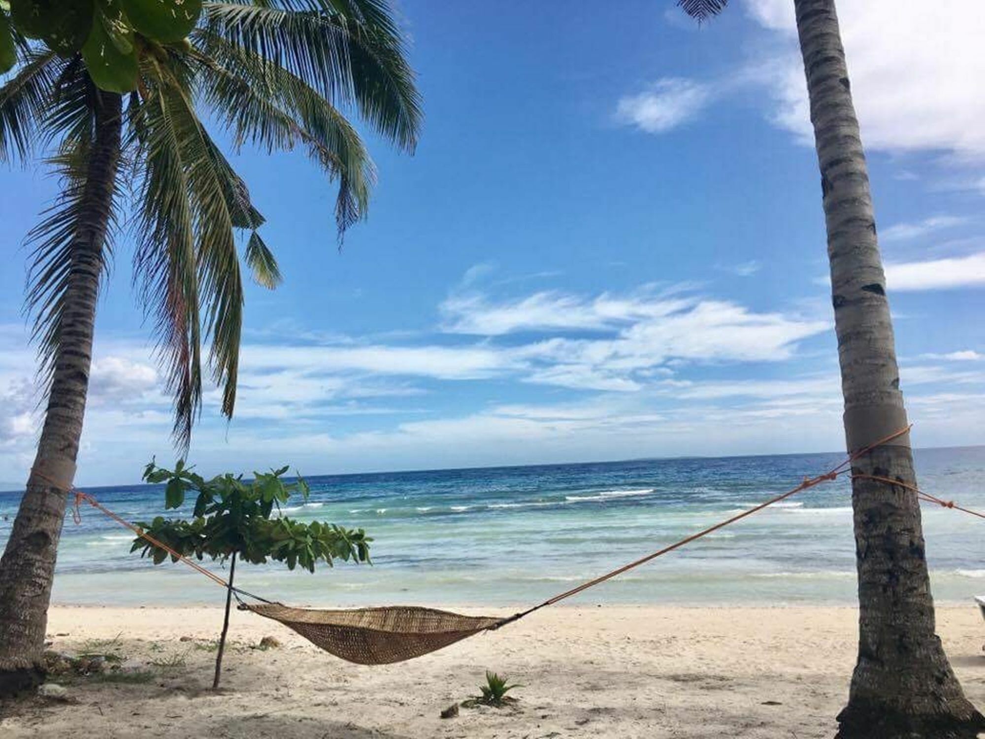 The Whitehouse By The Sea Panglao Exterior foto